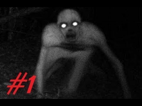 საშიში თამაში მეგობართან ერთად. გადავურჩეთ სასტიკ მკვლელს THE RAKE™ Classic Edition  1 0 8c