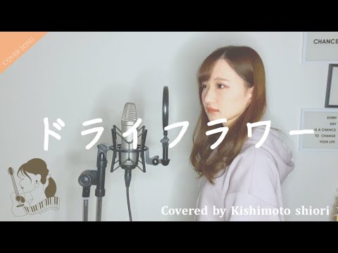 【女性／フル歌詞】ドライフラワー／優里 (cover) by きしもとしおり