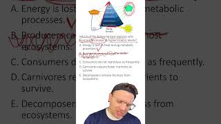 MCQ: Energy Pyramid