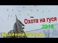 ОХОТА НА ГУСЯ 2018 День заезда Крайний Север НАО ОХОТА НА ГУСЯ 2018 День заезда Крайний Север НАО
