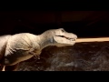 富山科学博物館の恐竜 の動画、YouTube動画。