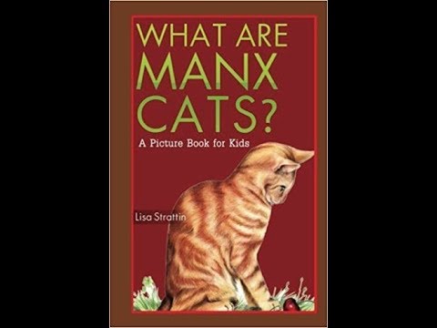 ვიდეო: Manx Cat ჯიშის ჰიპოალერგიული, ჯანმრთელობისა და სიცოცხლის ხანგრძლივობა