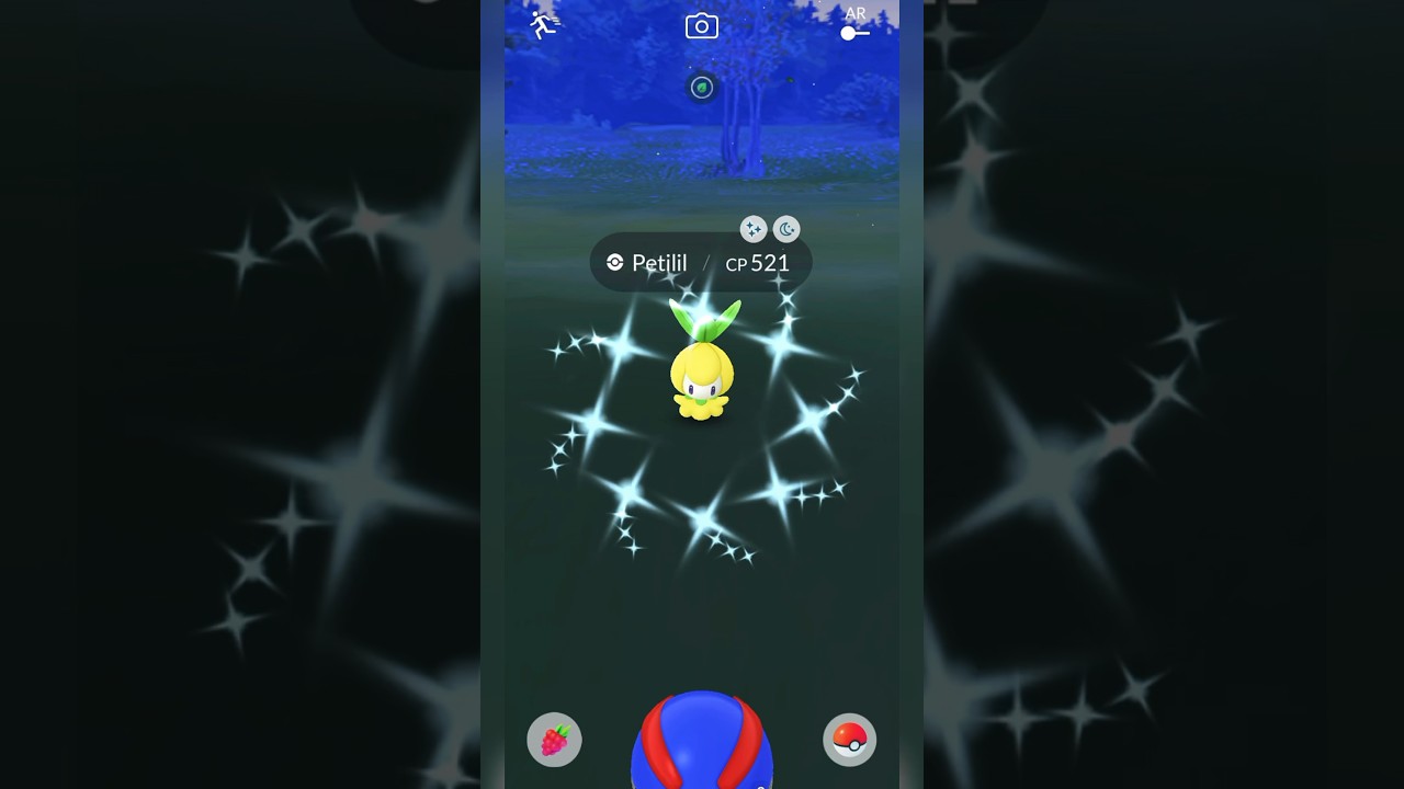 GO Shiny Petilil!! Pokemon Go 