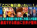 【海外の反応】「全てが100点だ...」居酒屋の異次元のクオリティの高さに外国人が驚愕