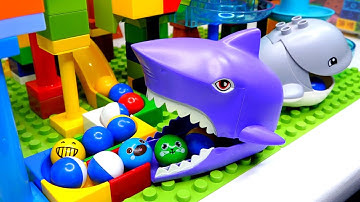 Marble Run Race ASMR Blocks Coaster  Shark and Whale course