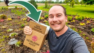 Good Bug School (Utilizing Beneficial Insects In Your Garden) | The Southerner's Northern Garden