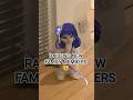 RAIDEN'S NEW FAMILY MEMBERS 😼| #raidenshogun #genshinimpact #anime #viralvideo #shortvideo