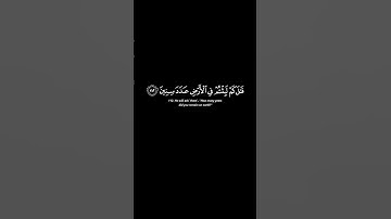 تلاوة القارئ إسلام صبحي | سورة المؤمنون آيات 112-114 #الله #القرآن #لا_اله_الا_الله