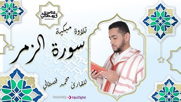 القارئ محمد قصطالي | سورة الزمر  | Surah az-Zumar - Qari Mohamed Qestali