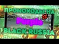 Промокоды Purple | Black Russia