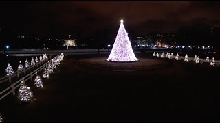 This Week at Interior December 4, 2020