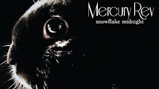 MERCURY REV - People Are So Unpredictable/Runaway Raindrop/Dream Of a Young Girl as a Flower (2008)