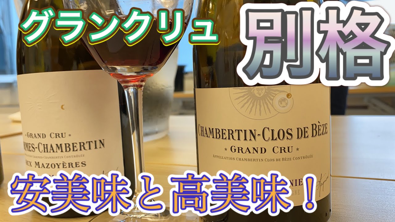 🇵🇹1250円から🇫🇷5万円まで！マニャン祭りだ！シャンベルタン・クロ・ド・ベズのお味はいかに？!7/6 モトックス様 テラヴェール様 GRN様【ソムリンTV】日々の試飲会おすすめワイン