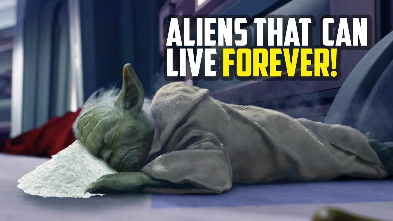 Which Species Live the Longest in Star Wars? YouTube