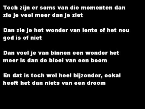 Toon Hermans - Het Wonder acordes