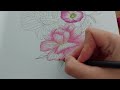 How to color rose in adult coloring book with colored pencils