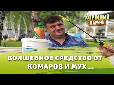 Видео: Разлика между плодовите мухи и комарите