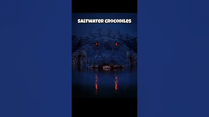 Top 4 scariest animals in the world. #animals #shorts