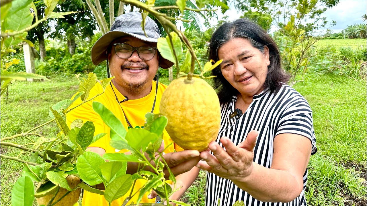 ⁣Farm Tour: Matalino pero Mahirap: Dating Struggling Mathematician, Sa Pagbebenta pala Yayaman!