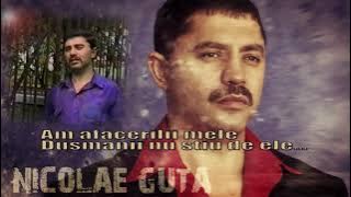 Nicolae Guta - Am afacerile mele, dusmanii nu stiu de ele