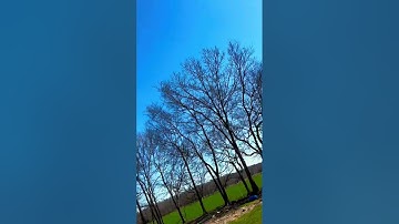 Freestyle FPV Crash! 😱 #drone #fpv #fpvfreestyle