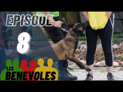 Vidéo: Découvrez les 7 nouvelles races de chiens présentées par AKC, dans le confort de votre salon!