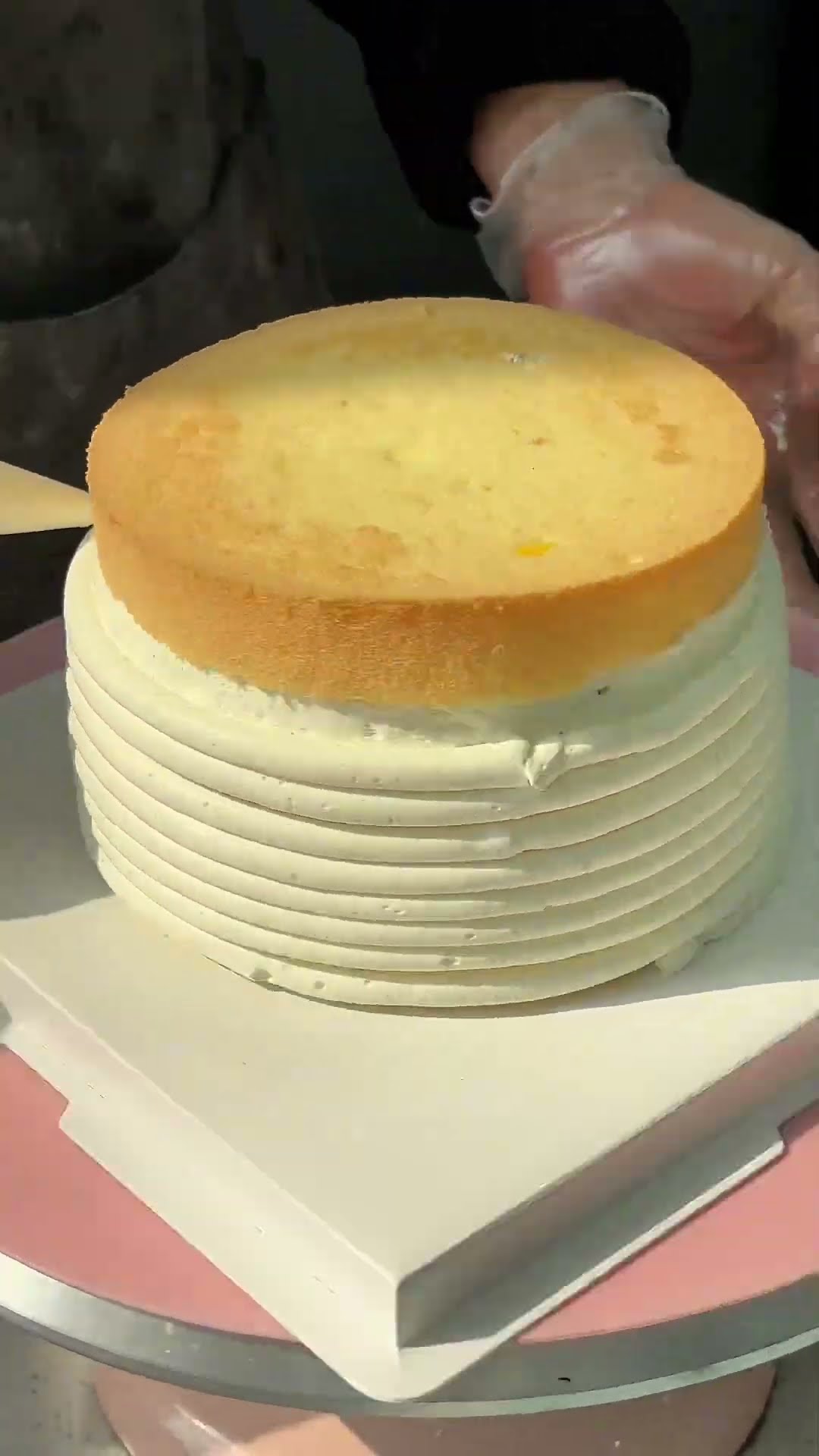 Customized cakes with super rich flavors!! Animal cream cakes Immersive cake making