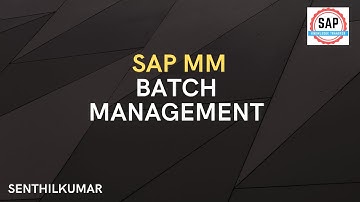 Training session  19  - SAP MM Batch Management
