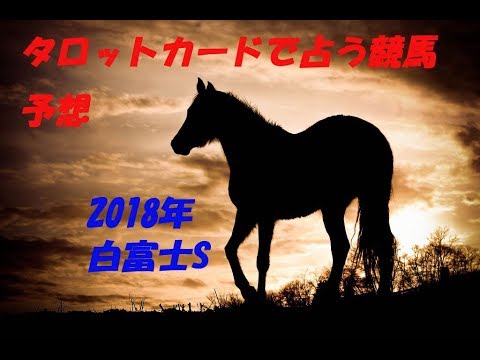 競馬予想【2018年　白富士S】今回は割と自信あります！タロットで占う競馬予想。