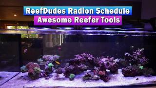 ReefDudes Radion Schedule 2026 Update - The ultimate Reefer Tools!