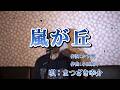 嵐が丘/まつざき幸介(cover by まっちゃん) 歌詞が概要欄にもあります。
