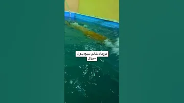 يسبح بدون سروال 