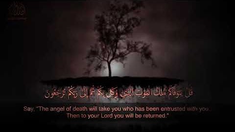 اسلام صبحي - ما تيسر من سورة السجدة