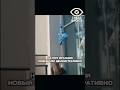 ⚡ СКАНДАЛ ВО ФРАНЦИИ: НОВЫЙ МЭР СНЯЛА ФЛАГ ЕВРОСОЮЗА