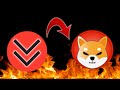 I JUST Created A Coin That Will Burn SHIBA INU COIN