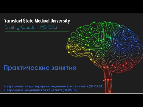 A2 1.3 Анализатор общей чувствительности - тактильный гнозис