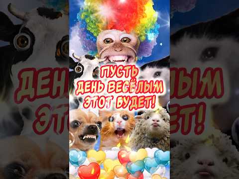 Прикольное поздравление с 1 апреля 😂 Отличного настроения 👍