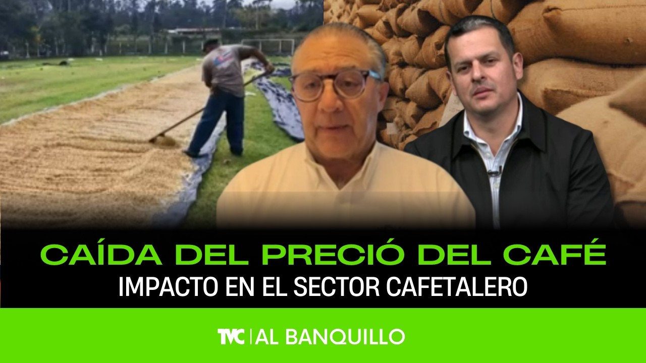 Al Banquillo - Caída al precio internacional del café - 15 de febrero 2016