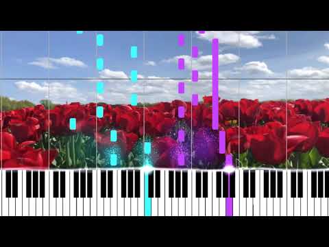 Putar Meadow - Verona