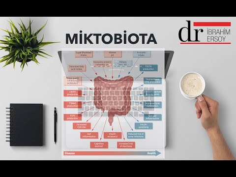 Video: Mikrobiyota