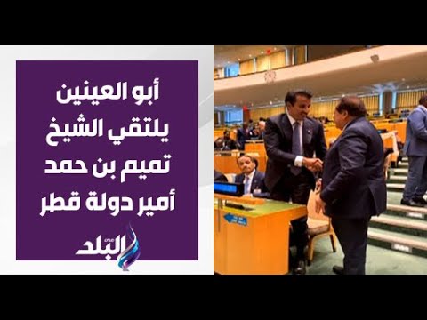 النائب محمد أبو العينين رئيس برلمان الاتحاد من أجل المتوسط يلتقي الشيخ تميم بن حمد أمير دولة قطر