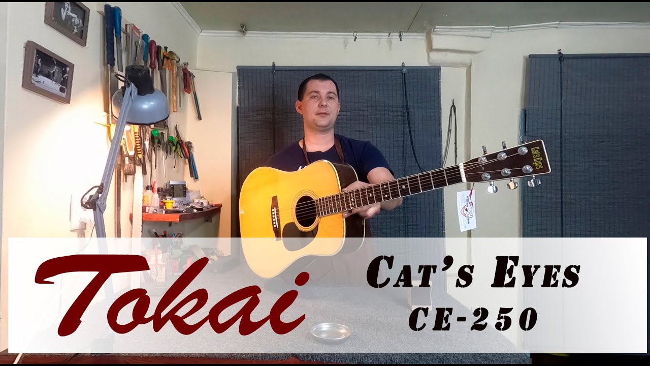 Tokai Cat's Eyes CE-250 , обзор гитары - YouTube