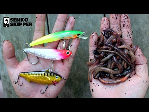 Video: How To Use Fish Bait