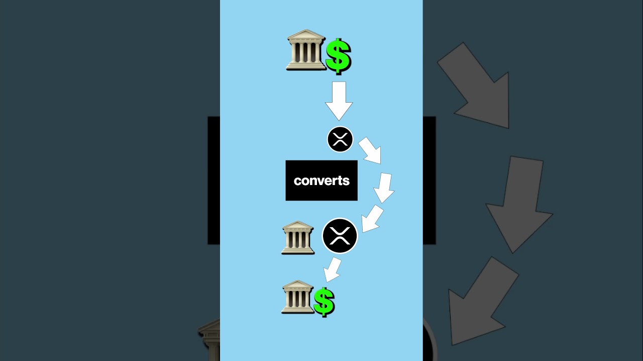 How the crypto XRP works 🤯 #crypto #xrp #bitcoin #investing #money
