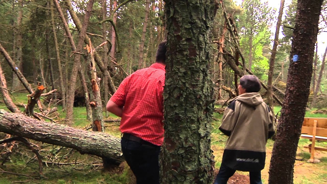 Nationalpark Mols Bjerge - Stubbe sø