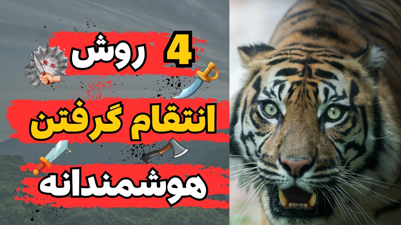 انتقام گرفتن | اگر میخوای از کسی انتقام بگیری این 4 تا کار رو انجام بده