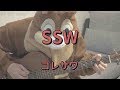 SSW/コレサワ/ギターコード