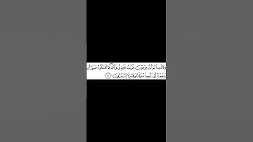 من سورة القصص(وقالت إمرأت فرعون قرّت عين لي ولك)🌿💓