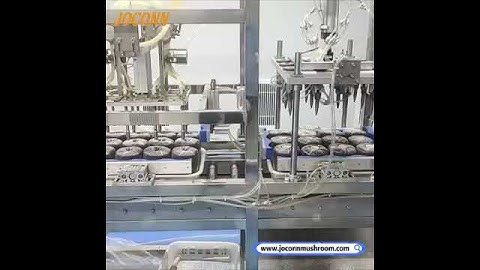 full-automatic mushroom liquid spawn inoculation machine #mushroomgrowing #mushroomfarming