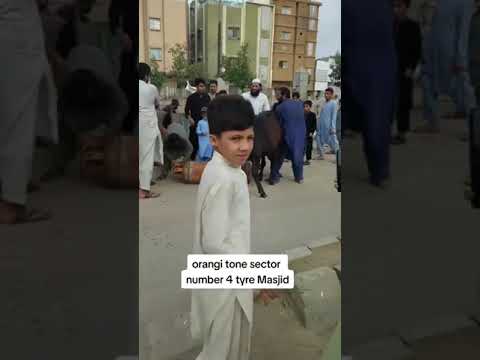 سلنڈر کے ساتھ باندھنا ضروری تھا کیا ؟ #dailyroutine